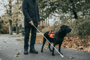 blind man walking with his guide dog