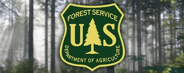 US Forest Service logo with a tree icon, against a background of trees in a forest.
